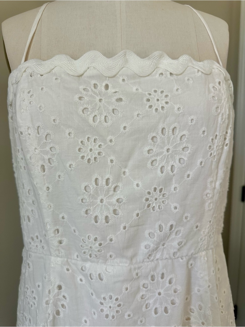 NWT Francesca's Collections Roxanne Ric Rac Eyelet Mini Dress - Picture 3 of 11